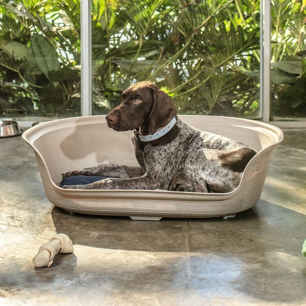 Cama para Perro Mediano - Imagen 3
