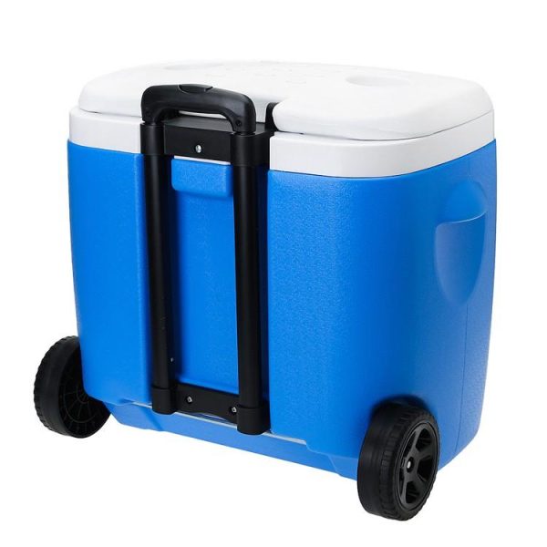 Cooler Rectangular  18 Lt C/Ruedas - Gint - Imagen 3
