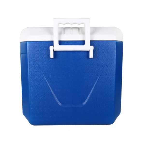 Cooler Rectangular C/ Asas 60 Lt - Imagen 2