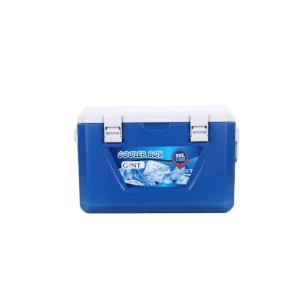 Cooler Rectangular C/ Asas 30 Lt
