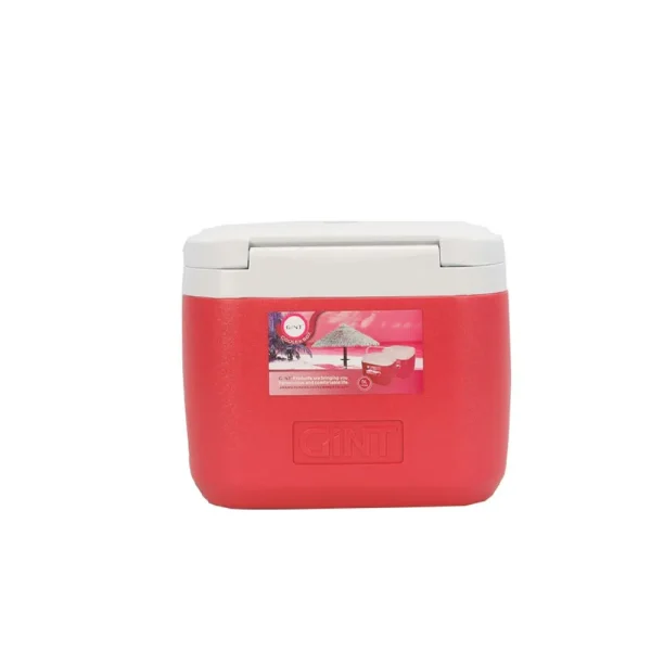 Cooler Rectangular Con Asa 8 Lt