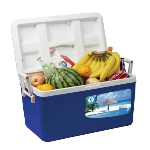 Cooler Rectangular Con Asas 45 Lt